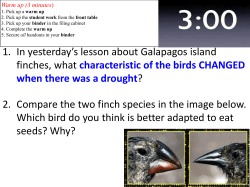 1. In yesterday`s lesson about Galapagos island finches, what