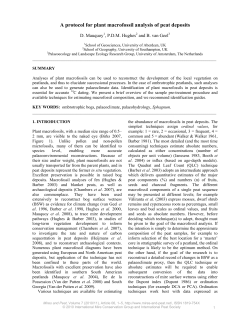 A protocol for plant macrofossil analysis of peat