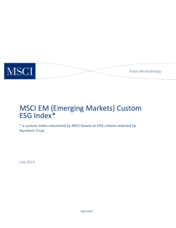 MSCI EM (Emerging Markets) Custom ESG Index*