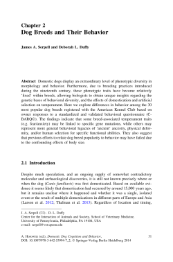 Dog Breeds and Their Behavior