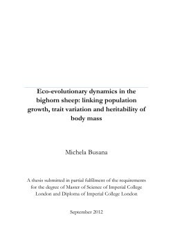Eco-evolutionary dynamics in the bighorn sheep: linking population