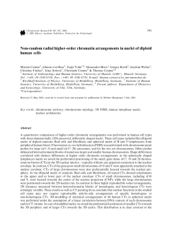Non-random radial higher-order chromatin arrangements in nuclei