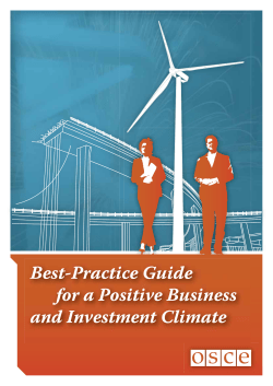 Best-Practice Guide for a Positive Business and Investment Climate
