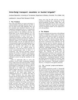 Intra-Golgi transport: escalator or bucket brigade?