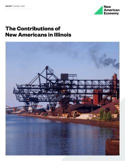 The Contributions of New Americans in Illinois