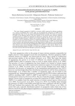 Immunohistochemical localization of aquaporin 4 (AQP4) in the