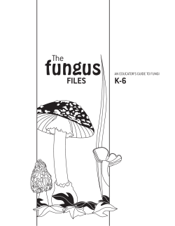 The Fungus Files
