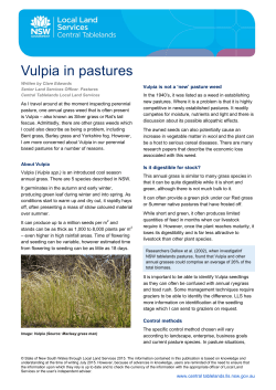 Vulpia in pastures - Central Tablelands Local Land Services