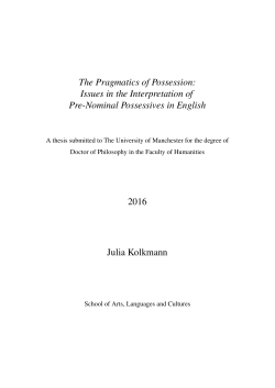 Issues in the Interpretation of Pre-Nominal Possessives in English