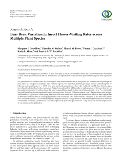 Busy Bees: Variation in Insect Flower