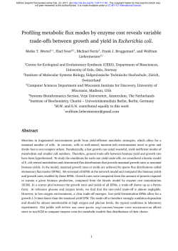 Profiling metabolic flux modes by enzyme cost reveals