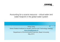 Accounting for a scarce resource &ndash; virtual water and water footprint