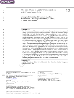 The Iron Wheel in Lac Pavin: Interaction with Phosphorus Cycle