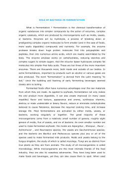 this lecture as PDF here - Development of e