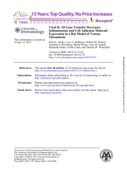 Thrombosis Expression in a Rat Model of Venous Inflammation and