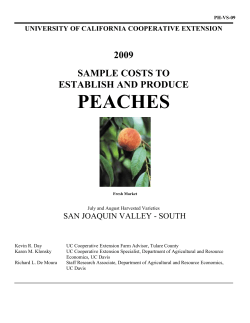 Sample Costs to Establish a Peach Orchard and