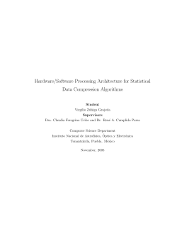 Hardware/Software Processing Architecture for Statistical Data