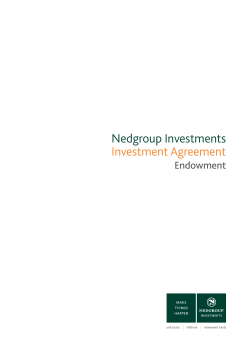 Nedgroup Investments Investment Agreement