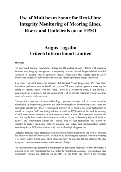 Use of Multibeam Sonar for Real-Time Integrity