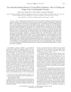 The Anticodon-binding Domain of Tyrosyl