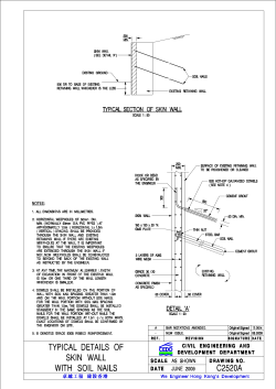 C2520A TYPICAL DETAILS OF SKIN WALL WITH SOIL NAILS