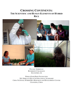 the scientific and human elements of hybrid rice