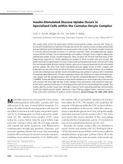 Insulin-Stimulated Glucose Uptake Occurs in Specialized Cells