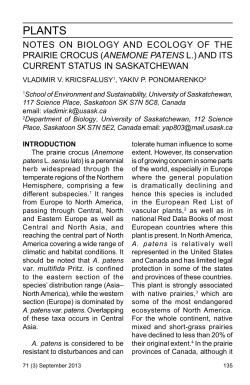 Notes on biology and ecology of prairie crocus in SK