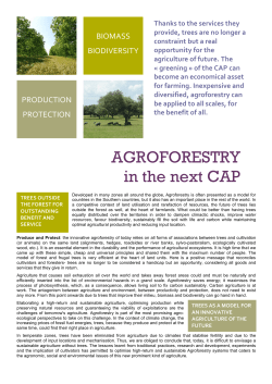 AGROFORESTRY in the next CAP