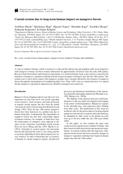 Coastal erosion due to long-term human impact on mangrove forests