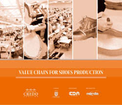 value chain for shoes production