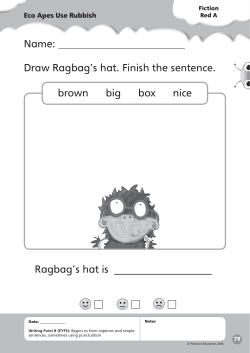 Name: Draw Ragbag`s hat. Finish the sentence. brown big box nice