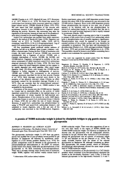 A protein of 70000 molecular weight is joined by disulphide bridges