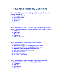 Advanced Anatomy Questions