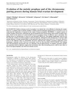 Evolution of the meiotic prophase and of the