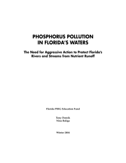 Phosphorus Pollution in Florida`s Waters