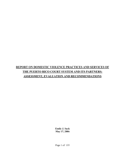 report on domestic violence practices and services
