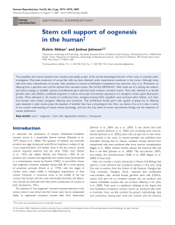 Stem cell support of oogenesis in the human
