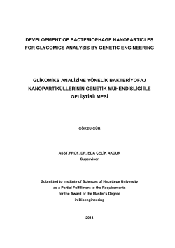 Development of bacteriophage nanoparticles for glycomics analysis
