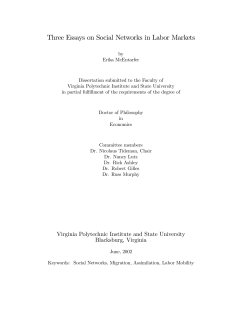 Three Essays on Social Networks in Labor Markets
