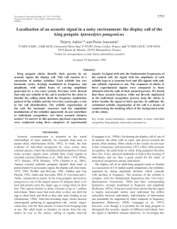 Localisation features in penguin calls - Universit&eacute; Paris-Sud