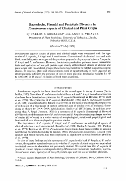 Bacteriocin, Plasmid and Pectolytic Diversity in
