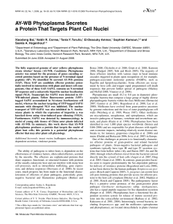 AY-WB Phytoplasma Secretes a Protein That Targets Plant Cell Nuclei