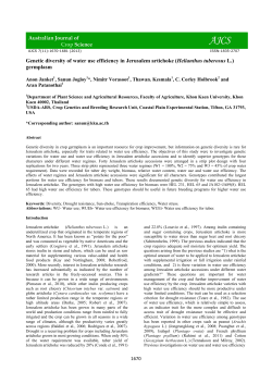 Genetic diversity of water use efficiency in Jerusalem artichoke