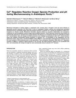 Ca2+ Regulates Reactive Oxygen Species