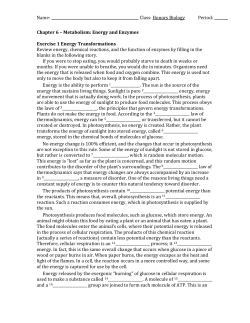 Chapter 6 Worksheet