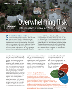 Executive Summary -- Overwhelming Risk: Rethinking Flood