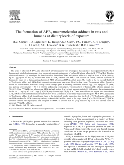 The formation of AFB1-macromolecular adducts in rats and humans