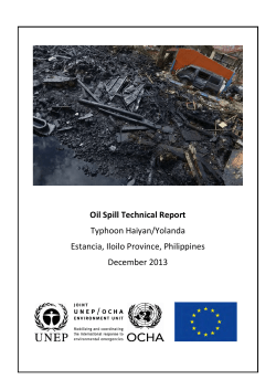 Estancia oil spill technical report