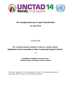 The Transformational initiative of Africa`s Leather Sector